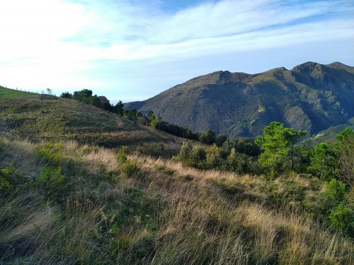 Terreno agricolo in vendita a Voltri, Genova (GE)