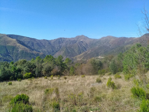 Terreno agricolo in vendita a Voltri, Genova (GE)