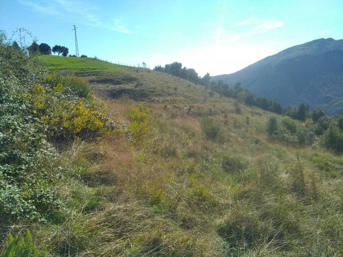 Terreno agricolo in vendita a Voltri, Genova (GE)