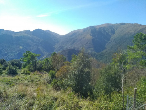 Terreno agricolo in vendita a Voltri, Genova (GE)