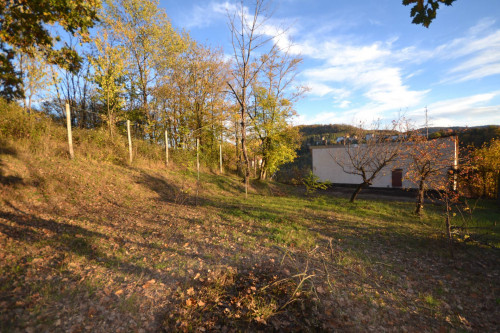 Casa semi-indipendente in vendita a Vallosi, Morbello (AL)