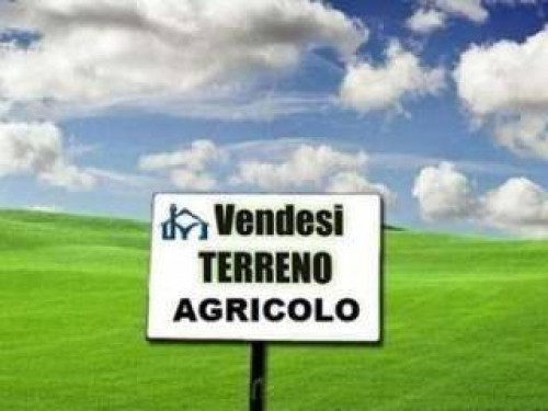 Terreno agricolo in vendita a Cambiano (TO)