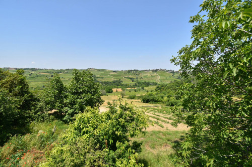 Azienda agricola in vendita a Rovescala (PV)