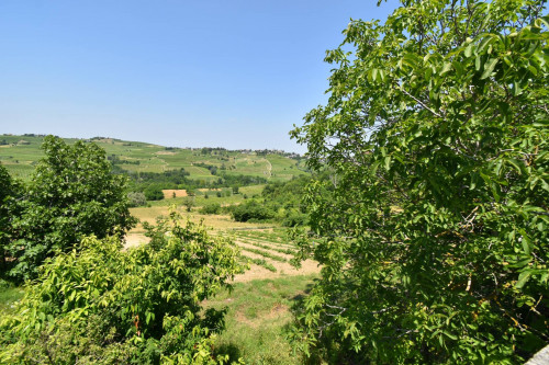 Azienda agricola in vendita a Rovescala (PV)