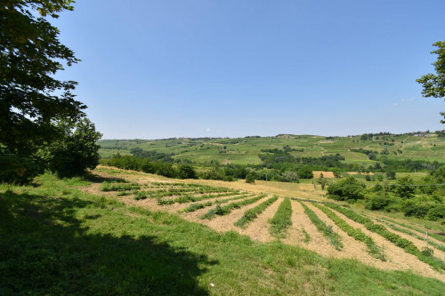 Azienda agricola in vendita a Rovescala (PV)