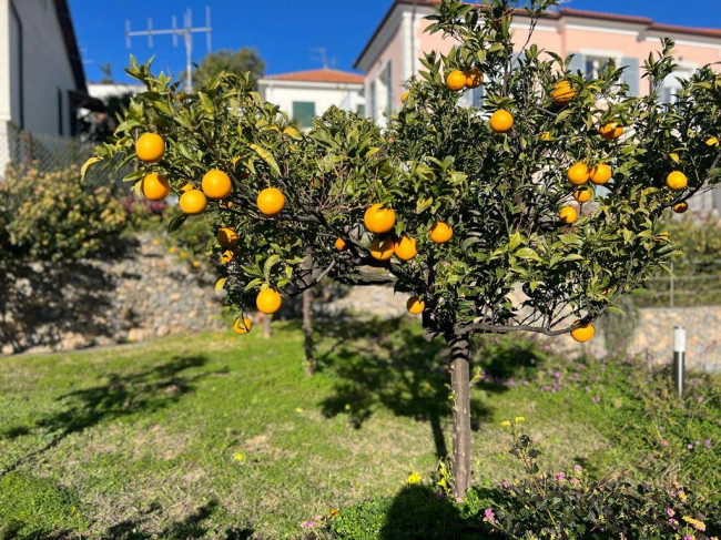 Appartamento in vendita a Borgio Verezzi (SV)