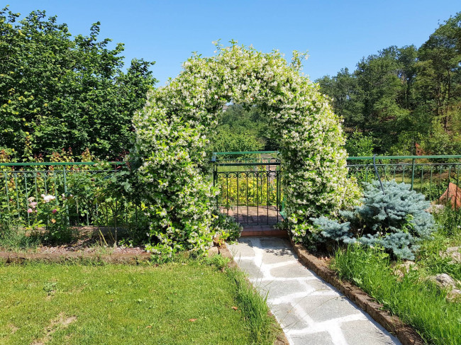 Villa in vendita a Peagna, Ceriale (SV)