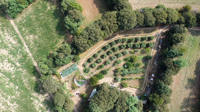 Terreno agricolo in vendita a Brescia (BS)