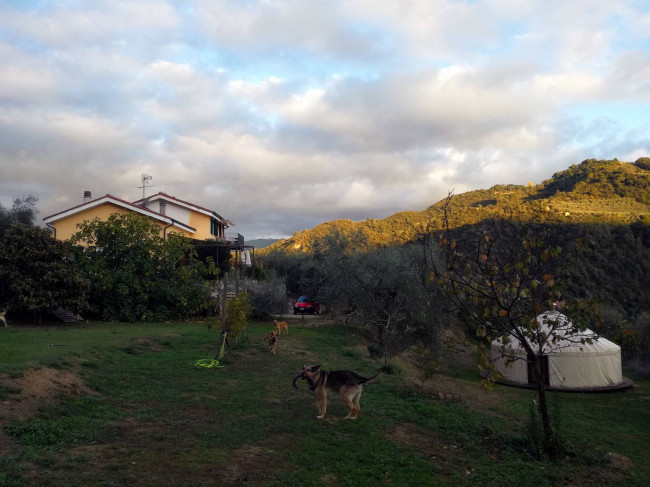 Casa indipendente in vendita a Dolceacqua (IM)