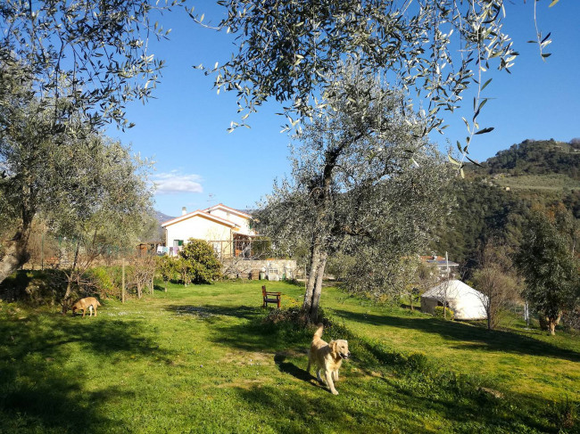 Casa indipendente in vendita a Dolceacqua (IM)