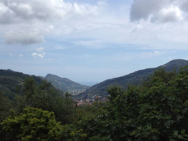 Casa indipendente in vendita a Dolceacqua (IM)