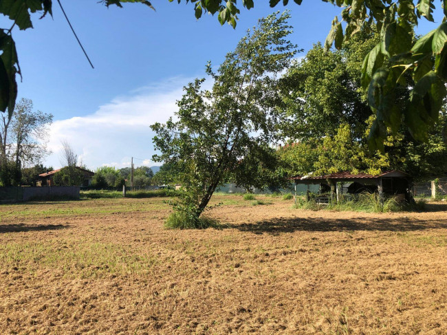 Terreno agricolo in vendita a Marina Di Massa, Massa (MS)