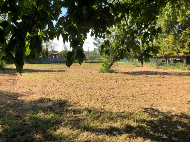 Terreno agricolo in vendita a Massa (MS)