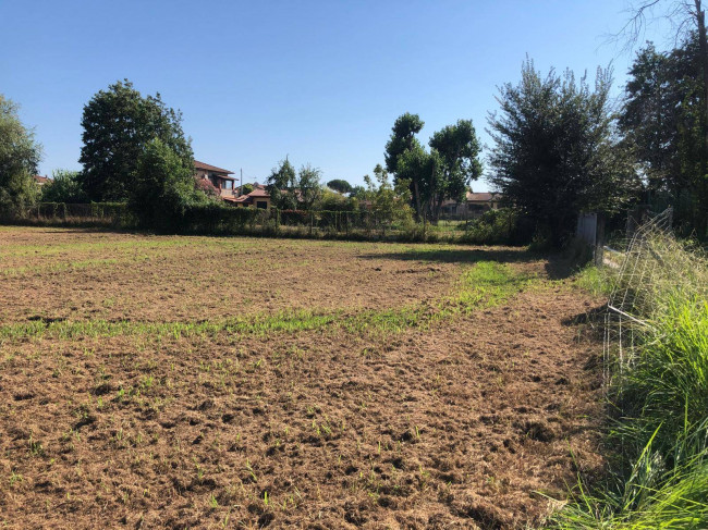 Terreno agricolo in vendita a Massa (MS)