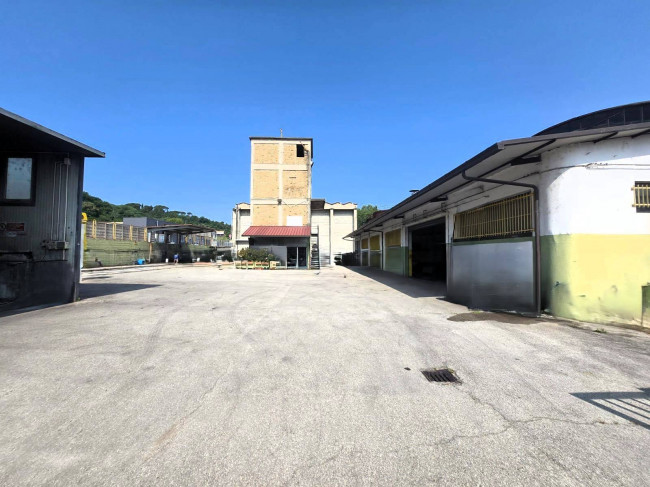 Attività commerciale a Ascoli Piceno