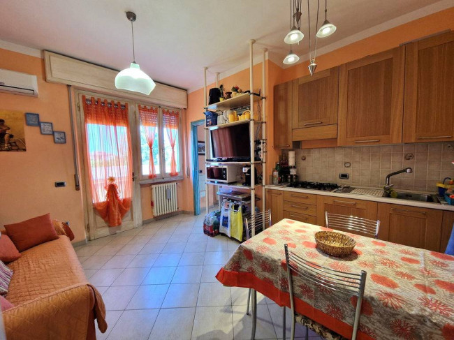 Appartamento in Affitto a Montignoso
