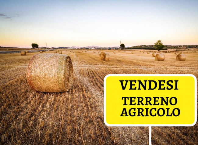 Terreno Agricolo in Vendita a Pietrasanta