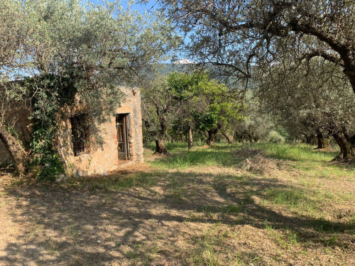 Terreno agricolo in vendita a Marcellina (RM)