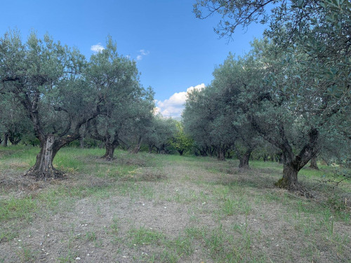 Terreno agricolo in vendita a Marcellina (RM)