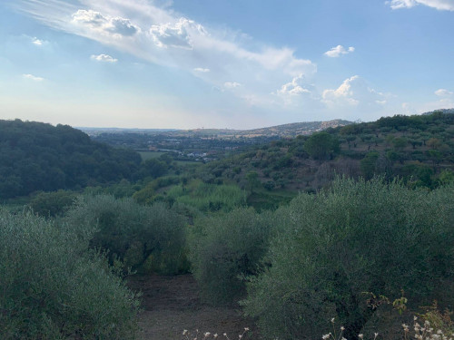 Terreno agricolo in vendita a Marcellina (RM)