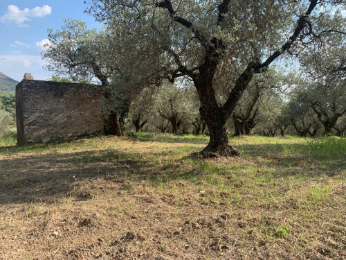 Terreno agricolo in vendita a Marcellina (RM)