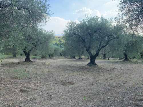 Terreno agricolo in vendita a Marcellina (RM)