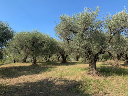 Terreno agricolo in vendita a Marcellina (RM)