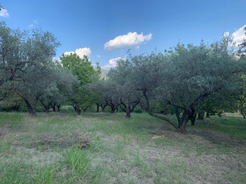 Terreno agricolo in vendita a Marcellina (RM)