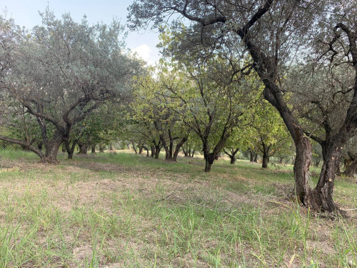 Terreno agricolo in vendita a Marcellina (RM)