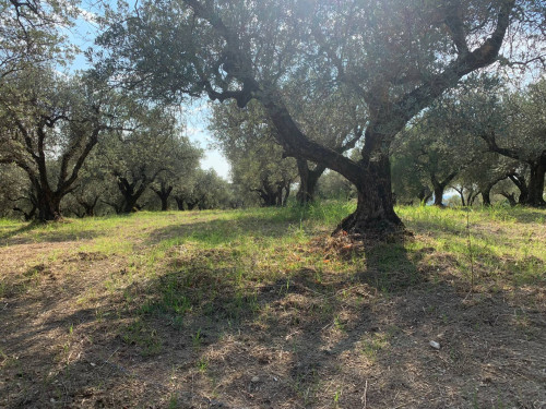 Terreno agricolo in vendita a Marcellina (RM)