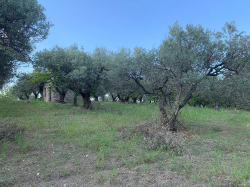 Terreno agricolo in vendita a Marcellina (RM)