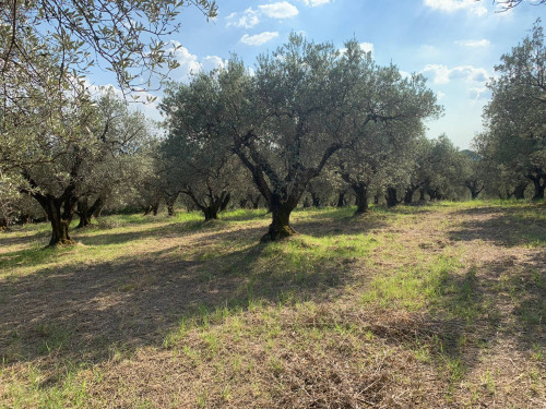 Terreno agricolo in vendita a Marcellina (RM)