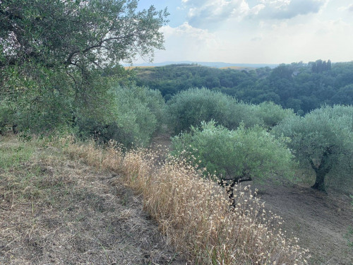 Terreno agricolo in vendita a Marcellina (RM)