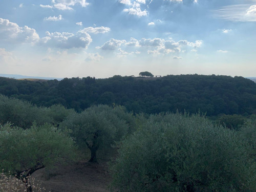 Terreno agricolo in vendita a Marcellina (RM)