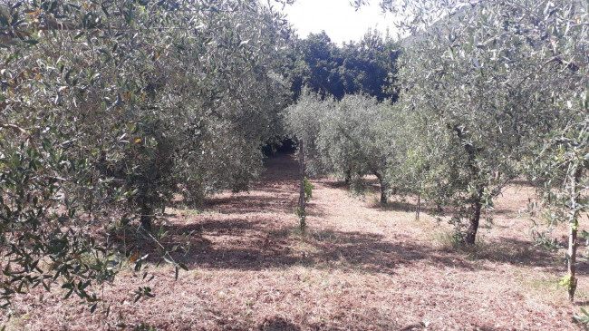 Terreno agricolo in vendita a Montecelio, Guidonia Montecelio (RM)