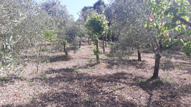 Terreno agricolo in vendita a Montecelio, Guidonia Montecelio (RM)