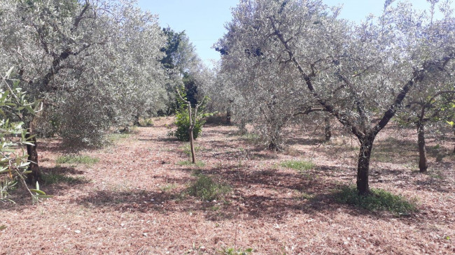 Terreno agricolo in vendita a Montecelio, Guidonia Montecelio (RM)