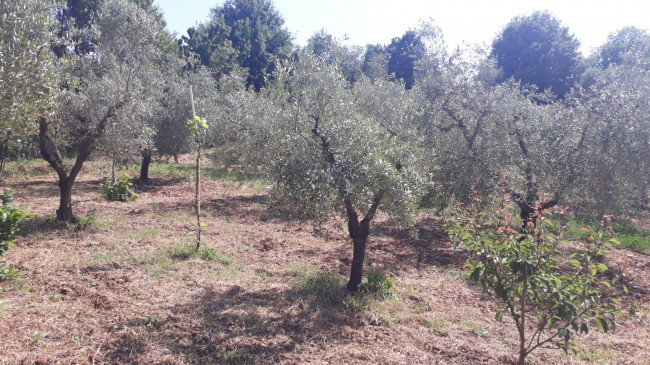 Terreno agricolo in vendita a Montecelio, Guidonia Montecelio (RM)