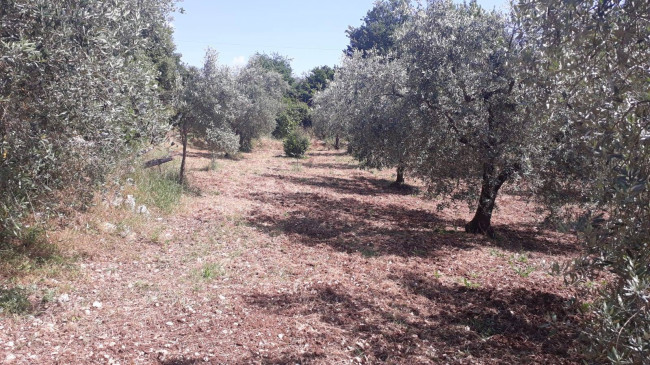 Terreno agricolo in vendita a Montecelio, Guidonia Montecelio (RM)