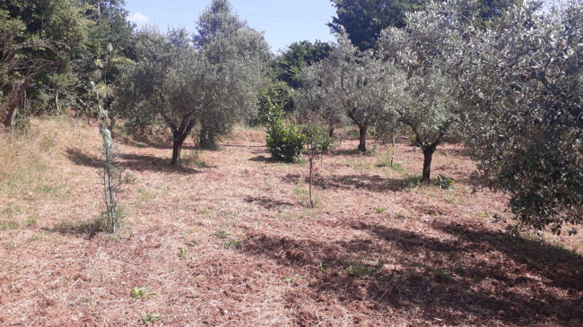 Terreno agricolo in vendita a Montecelio, Guidonia Montecelio (RM)