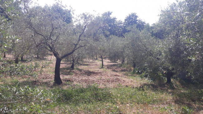 Terreno agricolo in vendita a Montecelio, Guidonia Montecelio (RM)