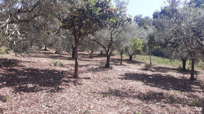 Terreno agricolo in vendita a Montecelio, Guidonia Montecelio (RM)