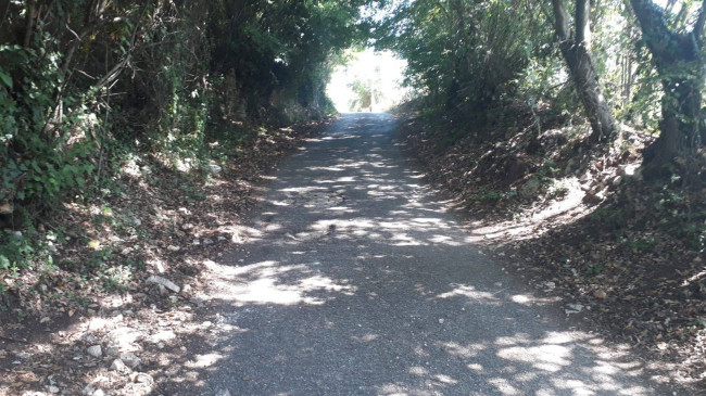 Terreno agricolo in vendita a Montecelio, Guidonia Montecelio (RM)