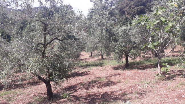 Terreno agricolo in vendita a Montecelio, Guidonia Montecelio (RM)