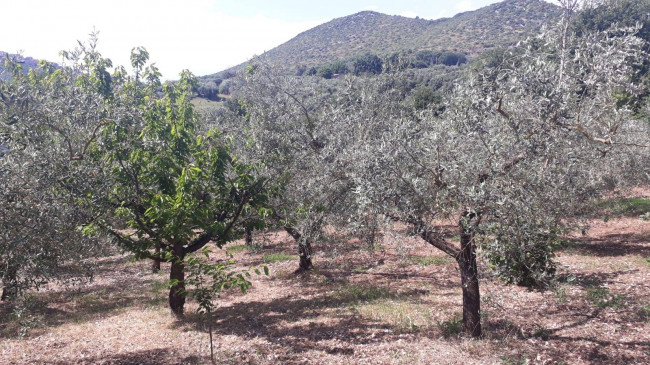 Terreno agricolo in vendita a Montecelio, Guidonia Montecelio (RM)