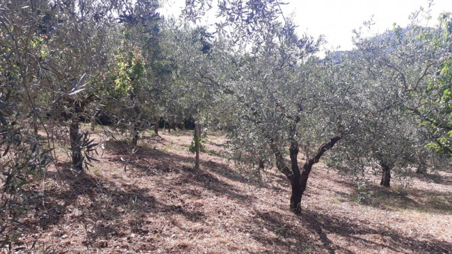 Terreno agricolo in vendita a Montecelio, Guidonia Montecelio (RM)