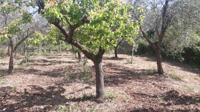 Terreno agricolo in vendita a Montecelio, Guidonia Montecelio (RM)