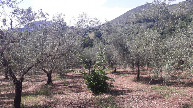 Terreno agricolo in vendita a Montecelio, Guidonia Montecelio (RM)