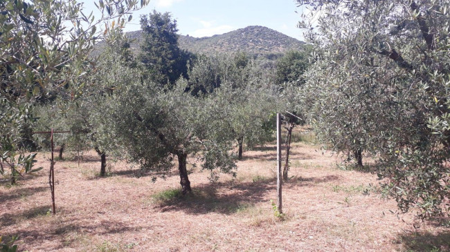 Terreno agricolo in vendita a Montecelio, Guidonia Montecelio (RM)