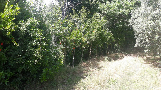 Terreno agricolo in vendita a Montecelio, Guidonia Montecelio (RM)